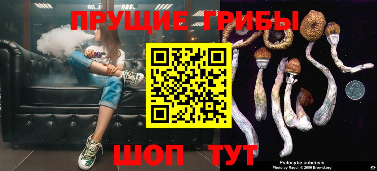 Санкт-Петербург  Галлюциногенные грибы ЛСД  Вход с VPN  Псилоцибиновые грибы GOLDEN TEACHER 